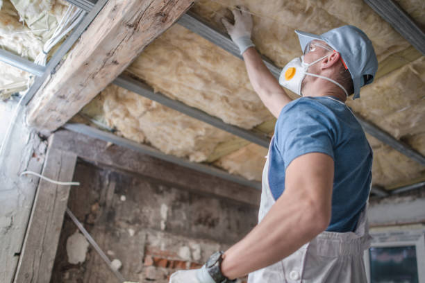 Professional Insulation Contractor in VA